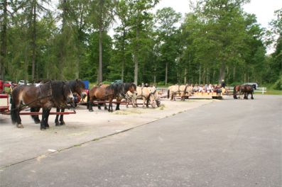 Remmalag på Visingsö